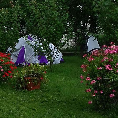 Pensiunea Abel Hotell Mihai Viteazu  Exteriör bild