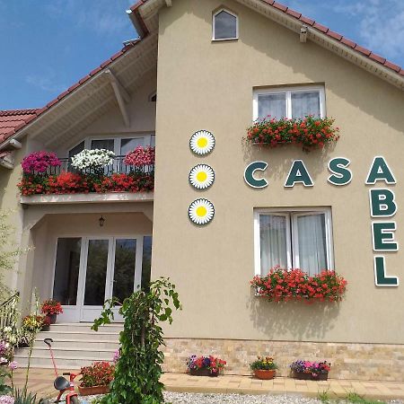 Pensiunea Abel Hotell Mihai Viteazu  Exteriör bild