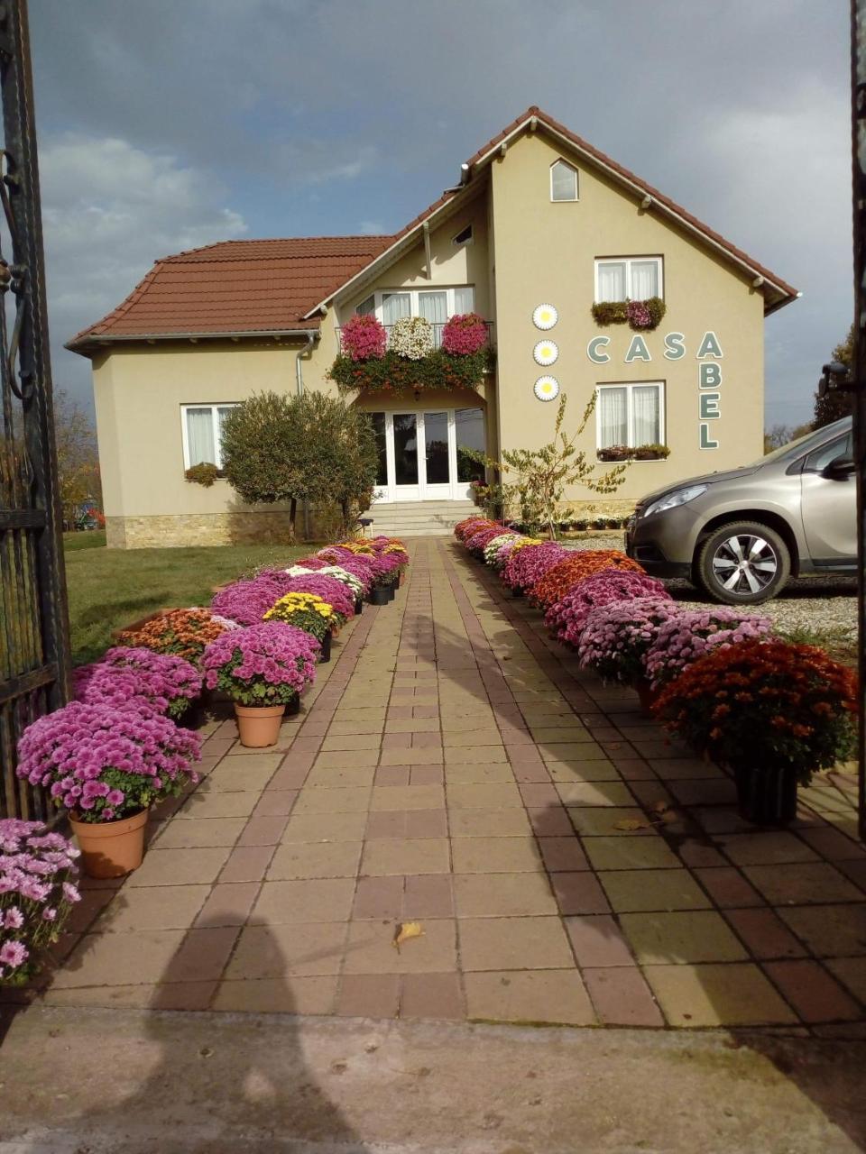 Pensiunea Abel Hotell Mihai Viteazu  Exteriör bild