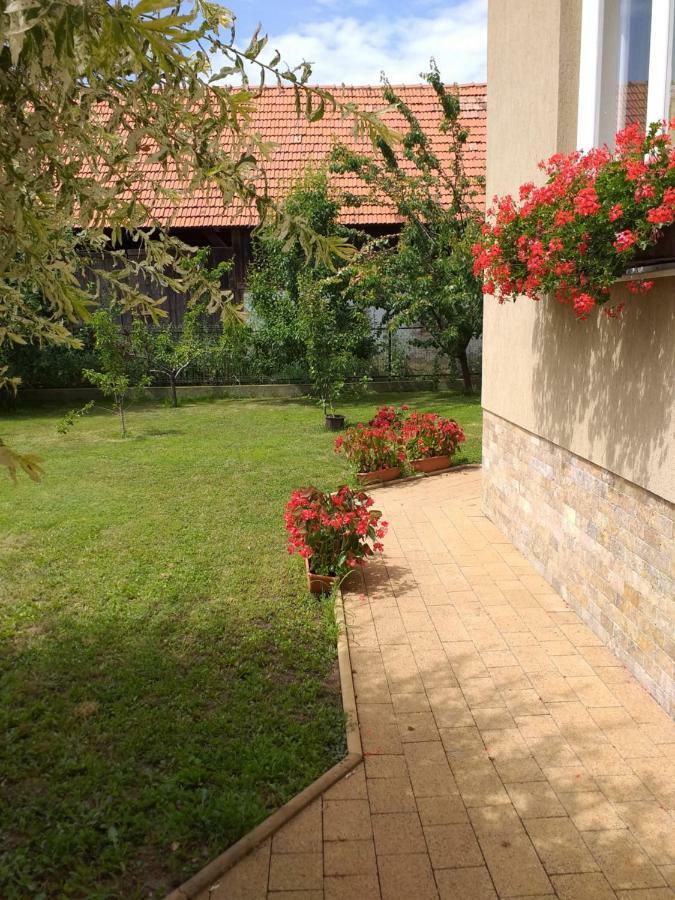 Pensiunea Abel Hotell Mihai Viteazu  Exteriör bild