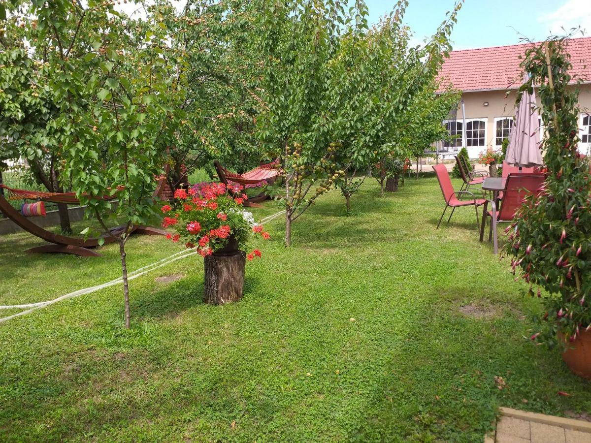 Pensiunea Abel Hotell Mihai Viteazu  Exteriör bild